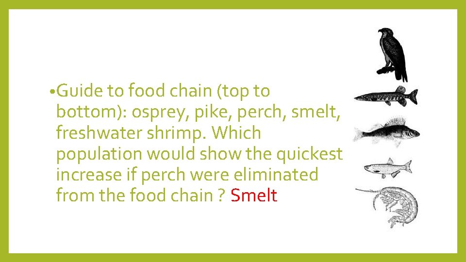  • Guide to food chain (top to bottom): osprey, pike, perch, smelt, freshwater