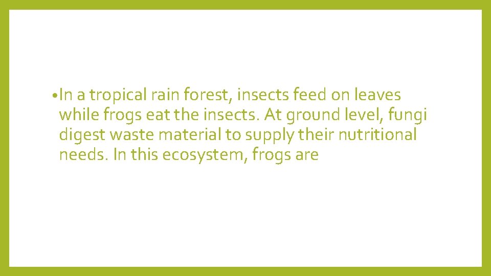  • In a tropical rain forest, insects feed on leaves while frogs eat