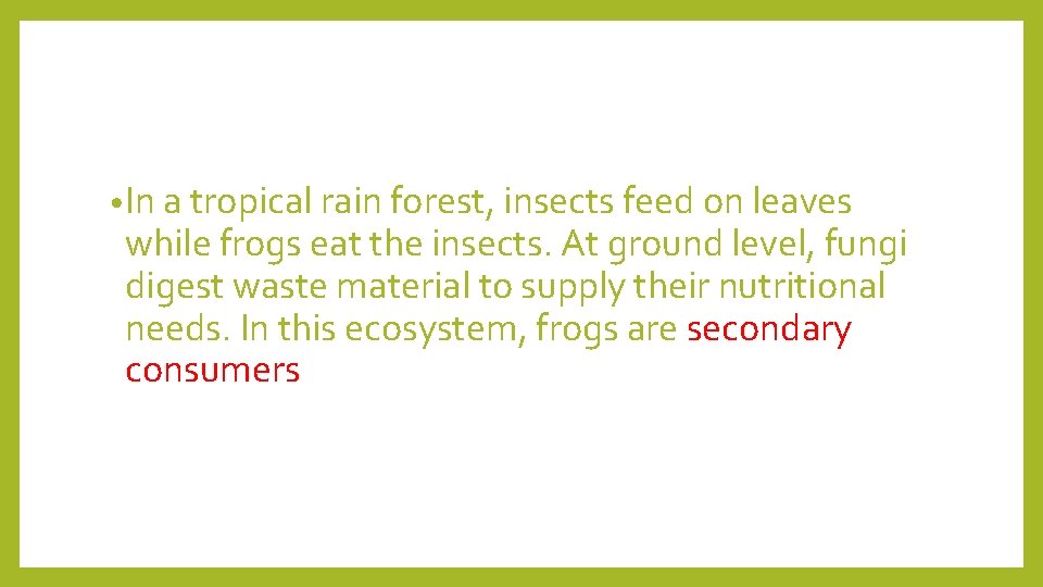  • In a tropical rain forest, insects feed on leaves while frogs eat