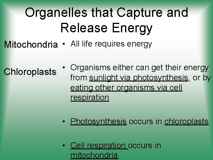 Organelles that Capture and Release Energy Mitochondria • All life requires energy • Organisms