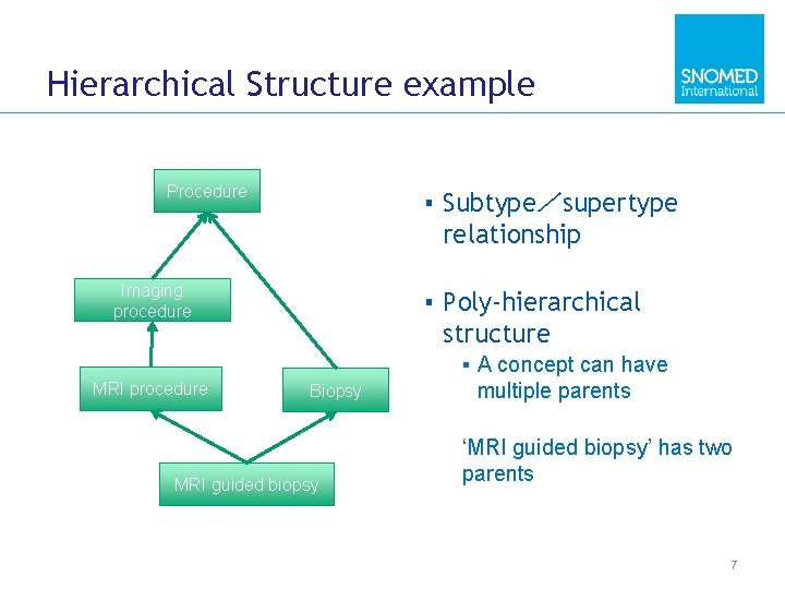 Hierarchical Structure example Procedure ▪ Subtype／supertype relationship Imaging procedure MRI procedure ▪ Poly-hierarchical structure