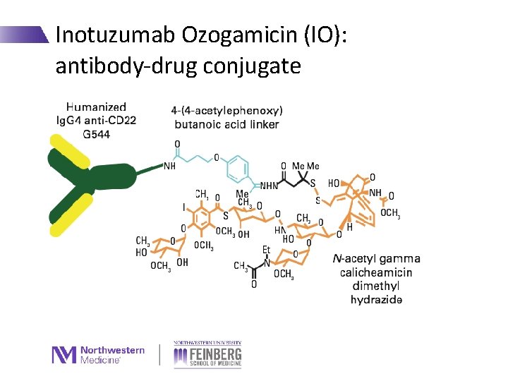 Inotuzumab Ozogamicin (IO): antibody-drug conjugate 