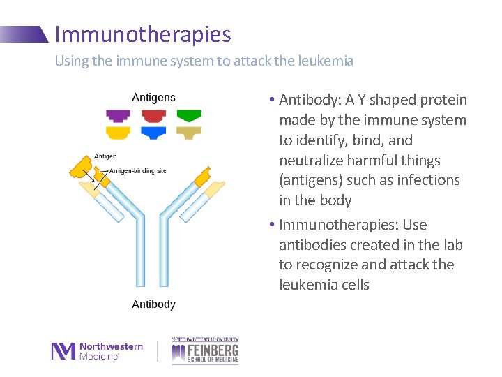 Immunotherapies Using the immune system to attack the leukemia • Antibody: A Y shaped