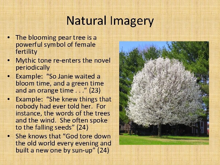 Natural Imagery • The blooming pear tree is a powerful symbol of female fertility