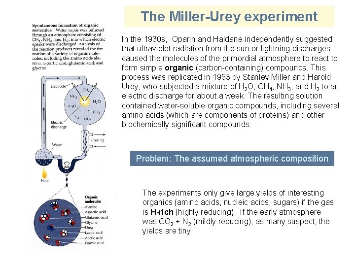 The Miller-Urey experiment In the 1930 s, Oparin and Haldane independently suggested that ultraviolet