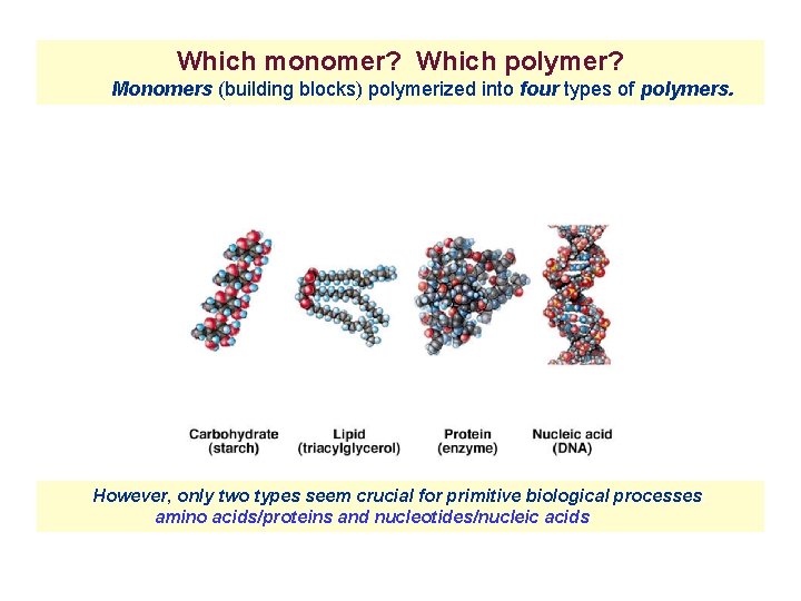 Which monomer? Which polymer? Monomers (building blocks) polymerized into four types of polymers. However,