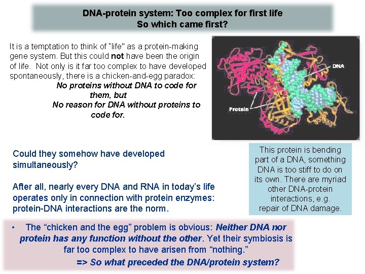 DNA-protein system: Too complex for first life So which came first? It is a