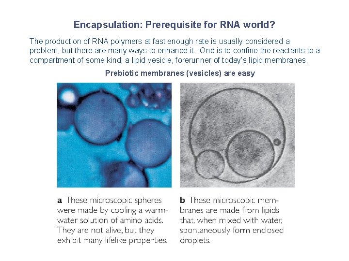 Encapsulation: Prerequisite for RNA world? The production of RNA polymers at fast enough rate