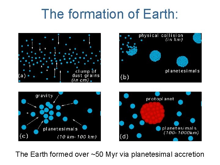 The formation of Earth: The Earth formed over ~50 Myr via planetesimal accretion 