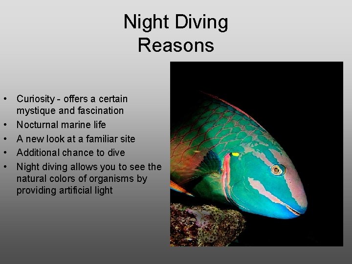 Night Diving Reasons • Curiosity - offers a certain mystique and fascination • Nocturnal