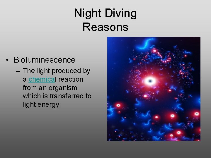 Night Diving Reasons • Bioluminescence – The light produced by a chemical reaction from