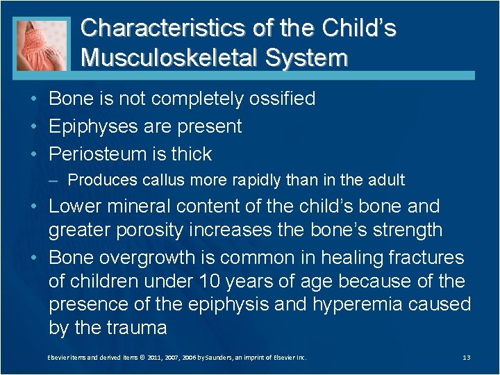 Characteristics of the Child’s Musculoskeletal System • Bone is not completely ossified • Epiphyses