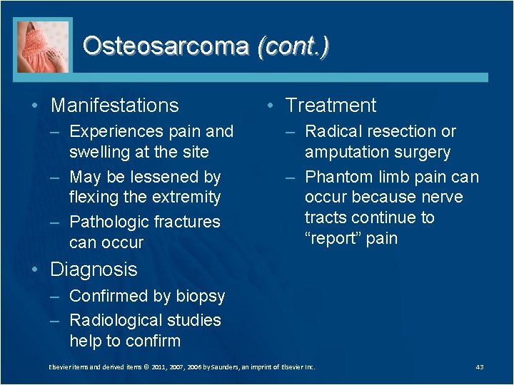 Osteosarcoma (cont. ) • Manifestations – Experiences pain and swelling at the site –