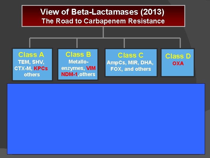 View of Beta-Lactamases (2013) The Road to Carbapenem Resistance Class A Class B TEM,