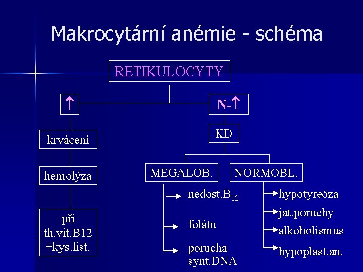 Makrocytární anémie - schéma RETIKULOCYTY N- KD krvácení hemolýza MEGALOB. NORMOBL. nedost. B 12 Makrocytární anémie - schéma RETIKULOCYTY N- KD krvácení hemolýza MEGALOB. NORMOBL. nedost. B 12