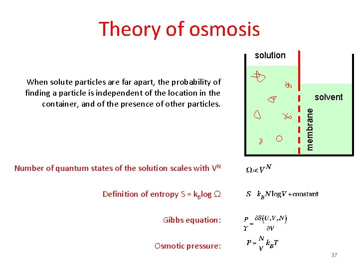 Theory of osmosis solution solvent membrane When solute particles are far apart, the probability