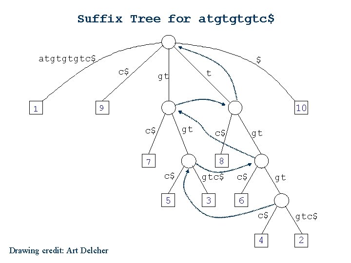 Suffix Tree for atgtgtgtc$ $ c$ 1 t gt 10 9 gt c$ c$