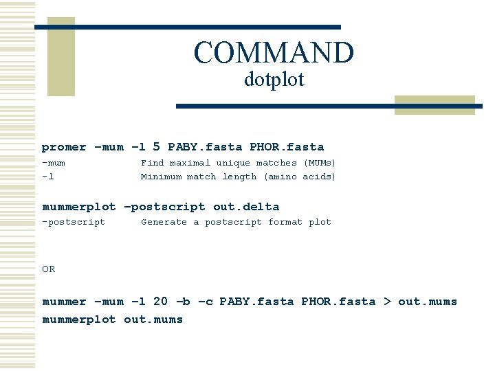 COMMAND dotplot promer –mum –l 5 PABY. fasta PHOR. fasta -mum -l Find maximal