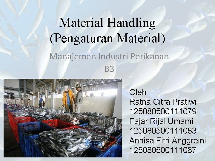 Material Handling (Pengaturan Material) Manajemen Industri Perikanan B 3 Oleh : Ratna Citra Pratiwi