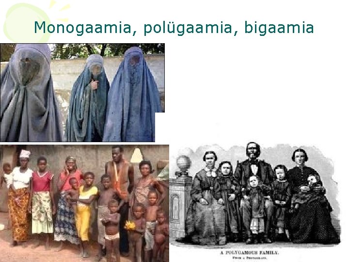 Monogaamia, polügaamia, bigaamia 