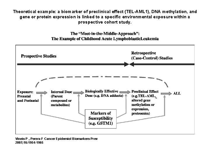 Theoretical example: a biomarker of preclinical effect (TEL-AML 1), DNA methylation, and gene or