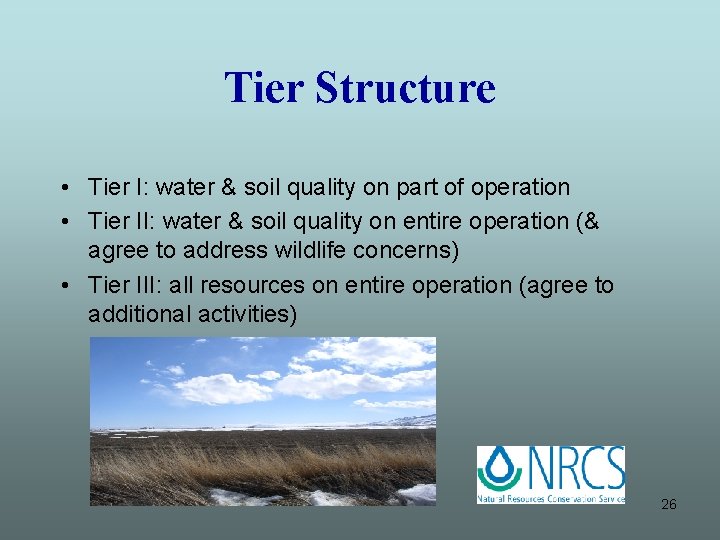 Tier Structure • Tier I: water & soil quality on part of operation •