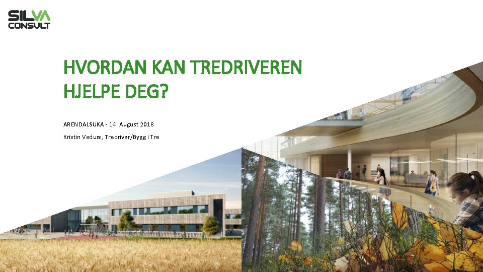 HVORDAN KAN TREDRIVEREN HJELPE DEG? ARENDALSUKA - 14. August 2018 Kristin Vedum, Tredriver/Bygg i