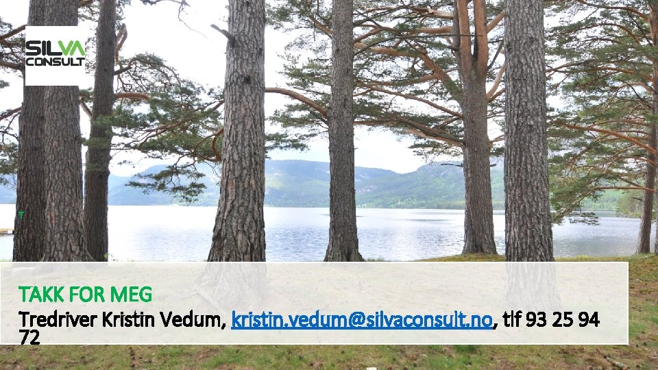 T TAKK FOR MEG Tredriver Kristin Vedum, kristin. vedum@silvaconsult. no, tlf 93 25 94