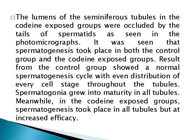 � The lumens of the seminiferous tubules in the codeine exposed groups were occluded