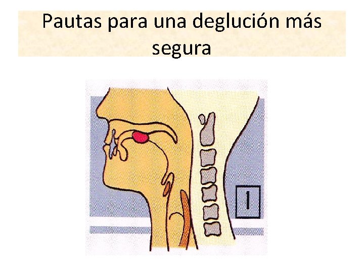 Pautas para una deglución más segura 