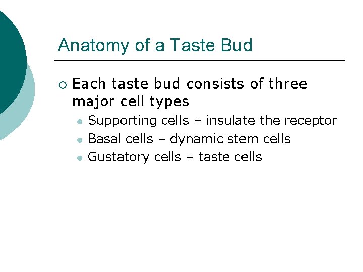 Anatomy of a Taste Bud ¡ Each taste bud consists of three major cell