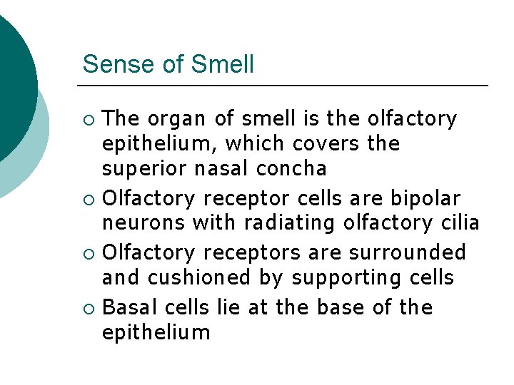 Sense of Smell The organ of smell is the olfactory epithelium, which covers the