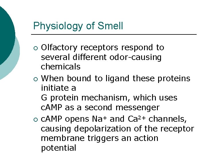 Physiology of Smell ¡ ¡ ¡ Olfactory receptors respond to several different odor-causing chemicals