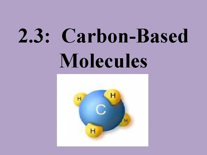 2. 3: Carbon-Based Molecules 