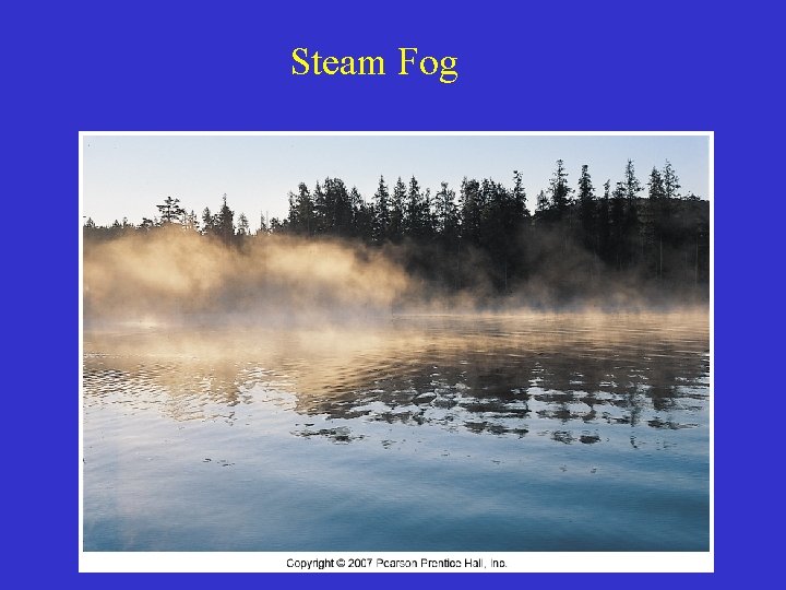 Steam Fog 
