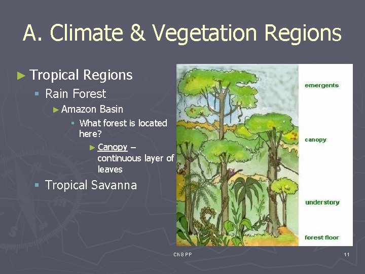 A. Climate & Vegetation Regions ► Tropical Regions § Rain Forest ► Amazon Basin