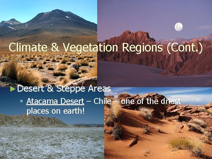 Climate & Vegetation Regions (Cont. ) ► Desert & Steppe Areas § Atacama Desert