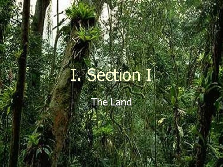 I. Section I The Land Ch 8 PP 2 