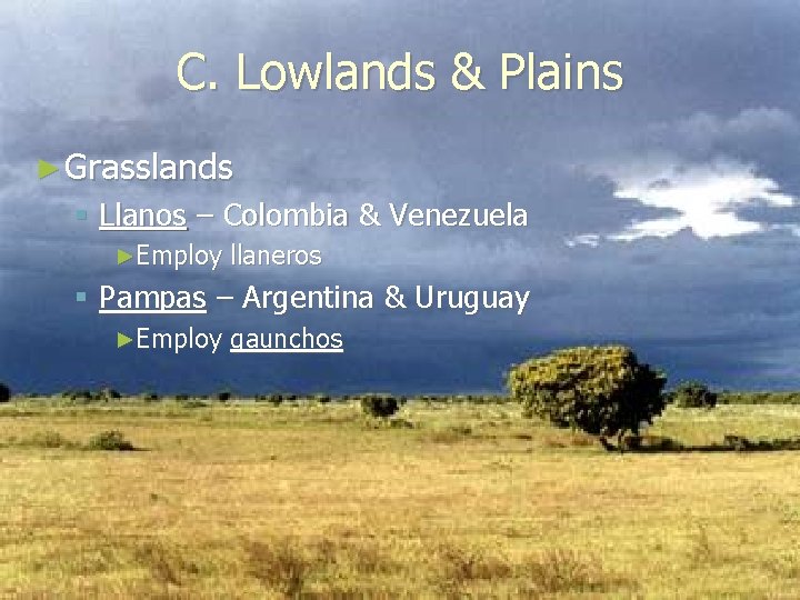 C. Lowlands & Plains ► Grasslands § Llanos – Colombia & Venezuela ►Employ llaneros