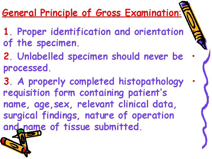 General Principle of Gross Examination: 1. Proper identification and orientation • of the specimen.