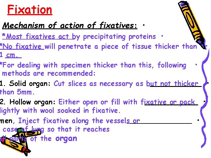 Fixation Mechanism of action of fixatives: • *Most fixatives act by precipitating proteins •