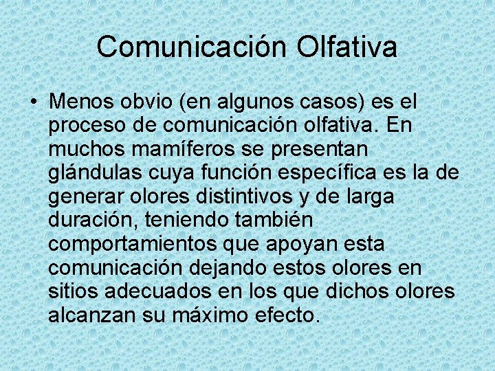 Comunicación Olfativa • Menos obvio (en algunos casos) es el proceso de comunicación olfativa.