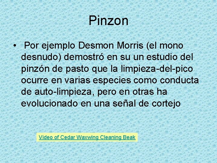 Pinzon • Por ejemplo Desmon Morris (el mono desnudo) demostró en su un estudio