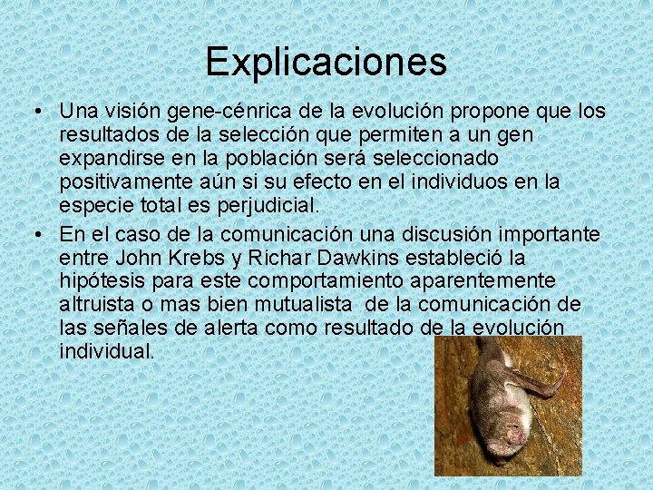 Explicaciones • Una visión gene-cénrica de la evolución propone que los resultados de la