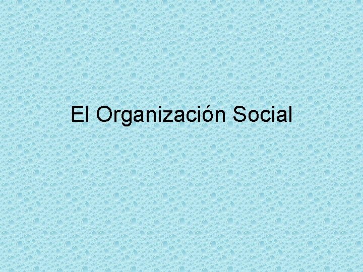 El Organización Social 