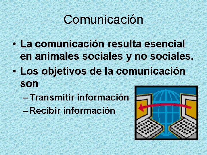 Comunicación • La comunicación resulta esencial en animales sociales y no sociales. • Los