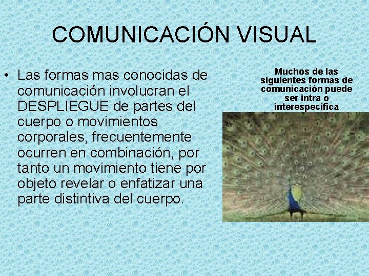 COMUNICACIÓN VISUAL • Las formas conocidas de comunicación involucran el DESPLIEGUE de partes del