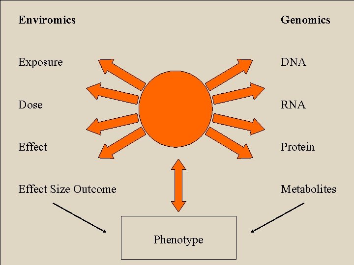 Enviromics Genomics Exposure DNA Dose RNA Effect Protein Effect Size Outcome Metabolites Phenotype 