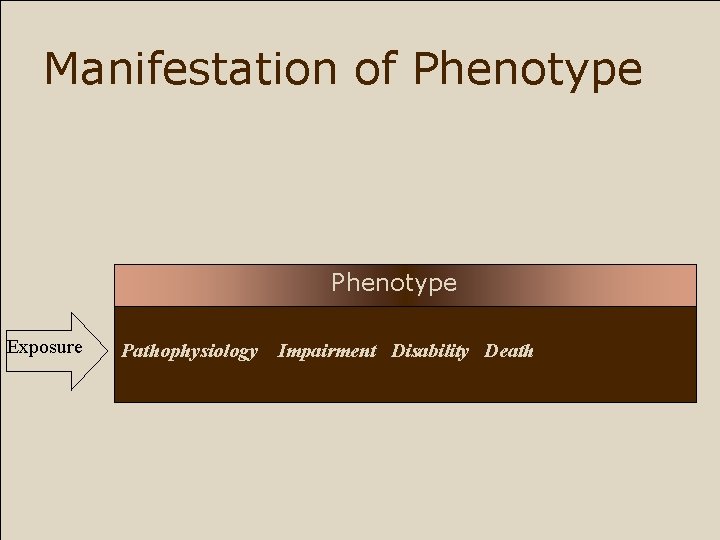 Manifestation of Phenotype Exposure Pathophysiology Impairment Disability Death 
