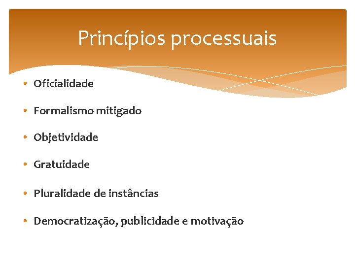 Princípios processuais • Oficialidade • Formalismo mitigado • Objetividade • Gratuidade • Pluralidade de